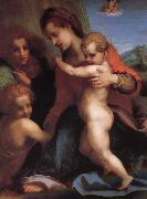 Andrea del Sarto, The Virgin and Child with St. John childhood, as well as two angels